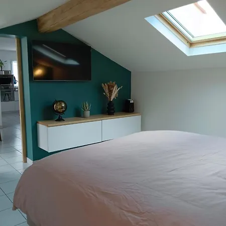 Evasion Au Bord De Mer, Avec Pisicne